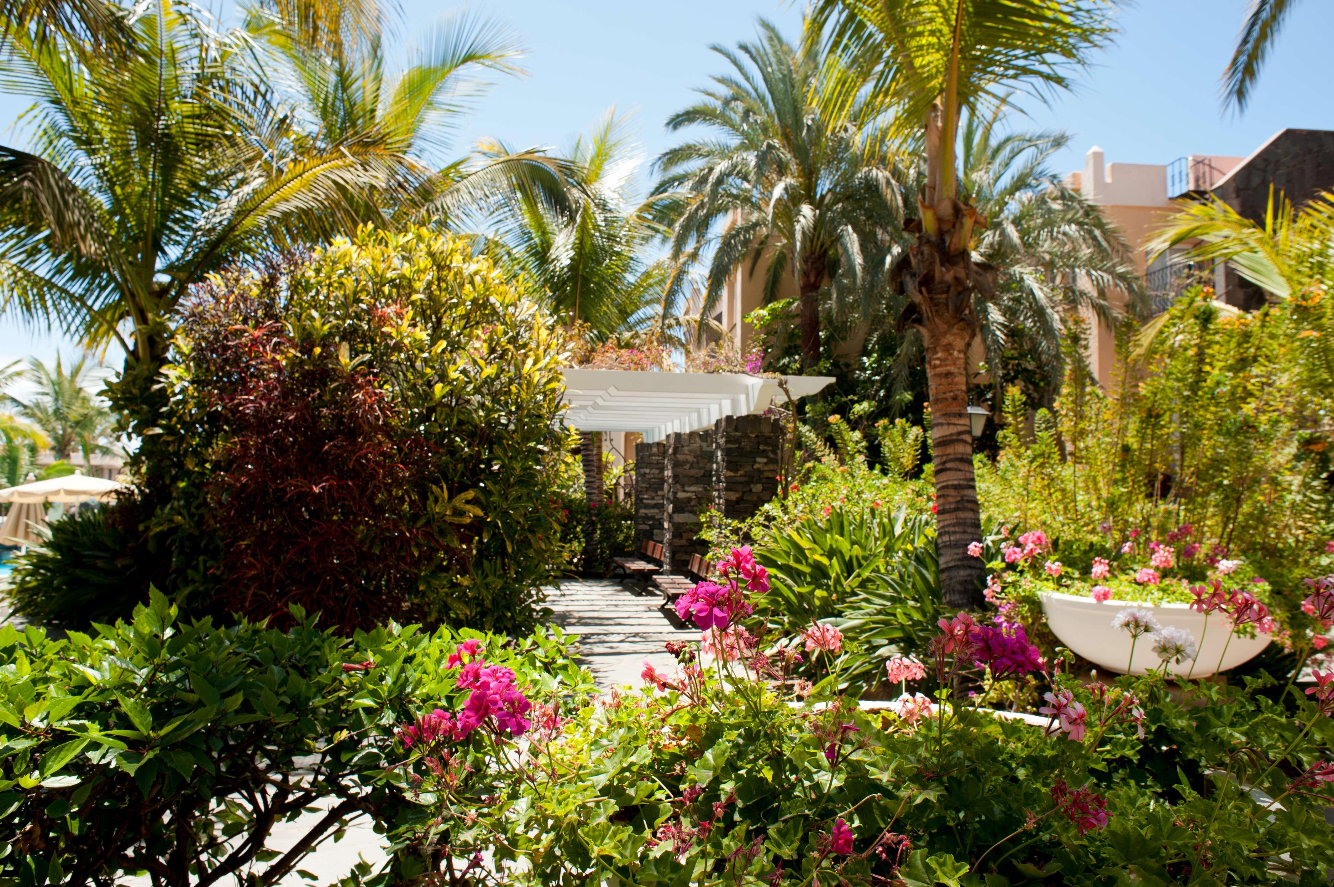 Hotel Palm Oasis Maspalomas Maspalomas  Exterior foto