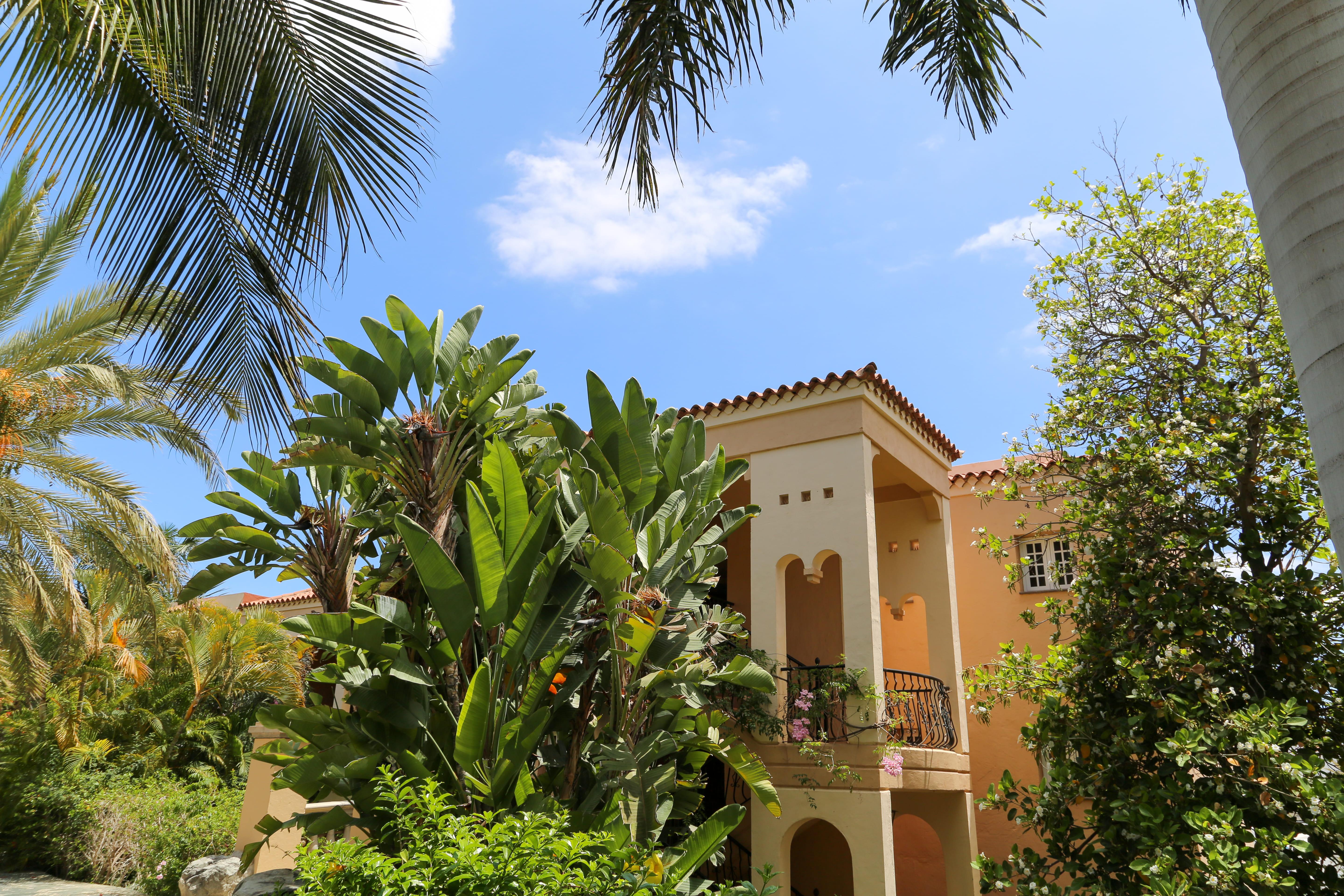 Hotel Palm Oasis Maspalomas Maspalomas  Exterior foto