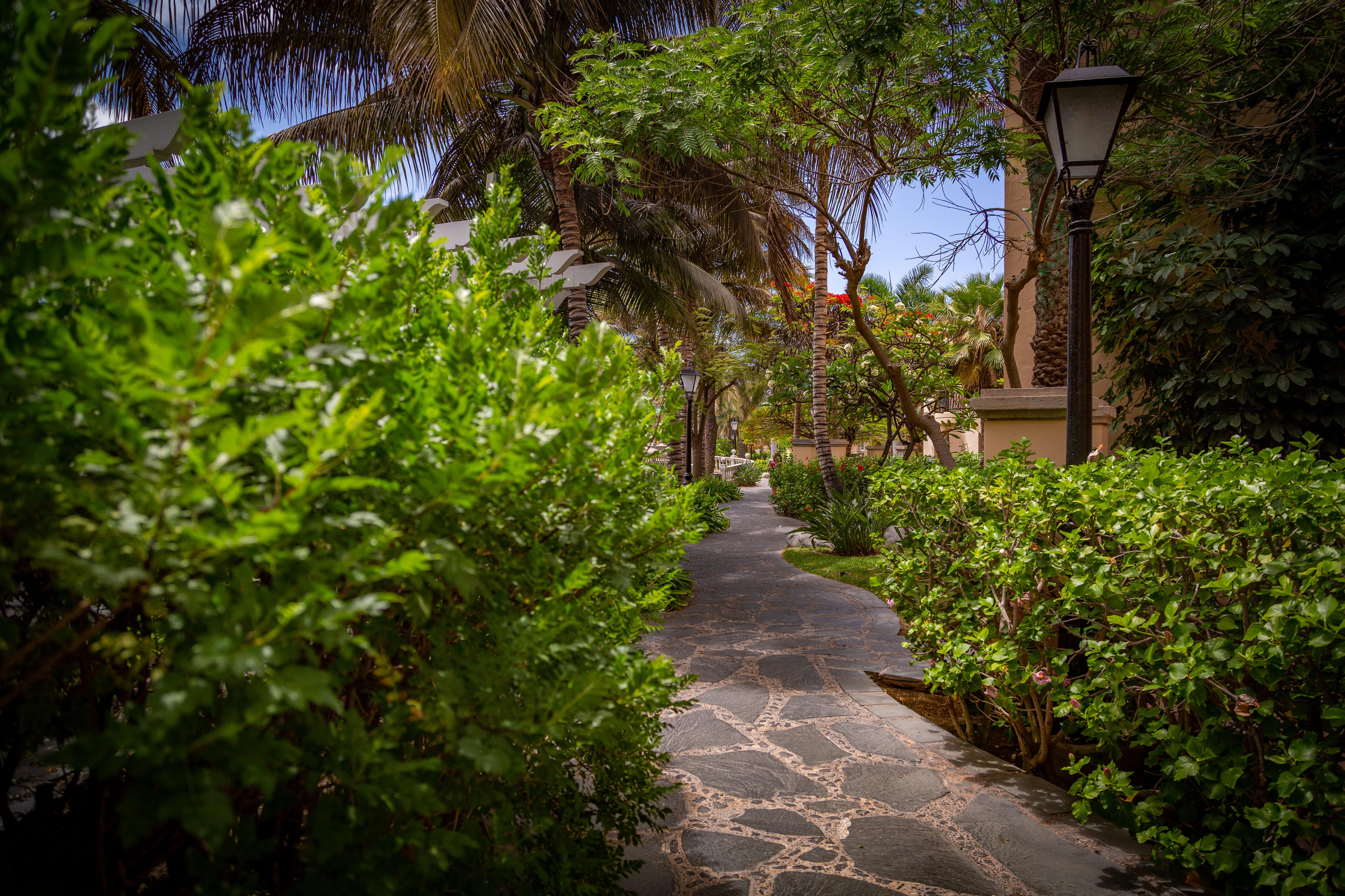 Hotel Palm Oasis Maspalomas Maspalomas  Exterior foto